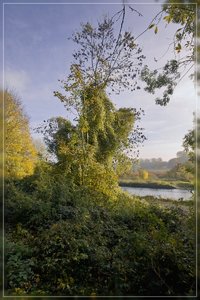 Ruhrwiesen-SD10 - IMG09405.jpg