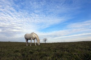 comp2_P1020682.jpg comp2_P1020682.jpg