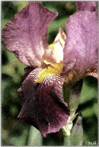 Foto - DSC01090ff.jpg