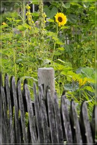 Ansichten-SD10 - IMG08446.jpg