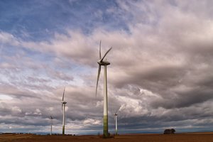 comp_SDIM0479_1-s4.jpg comp_SDIM0479_1-s4.jpg