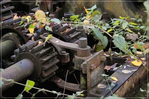 Rostig-SD10 - IMG09465.jpg