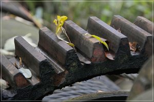 Rostig-SD10 - IMG09472.jpg