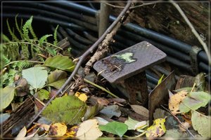 Rostig-SD10 - IMG09464.jpg