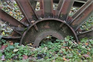 Rostig-SD10 - IMG09459.jpg