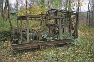 Rostig-SD14 - SDIM7600.jpg