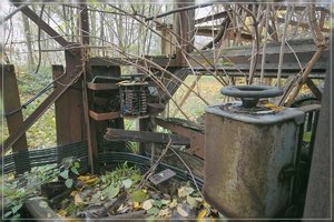 Rostig-SD14 - SDIM7601.jpg