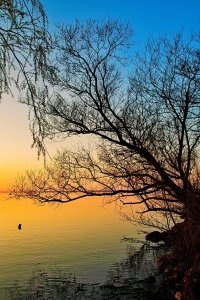 SDIM3275.jpg SDIM3275.jpg