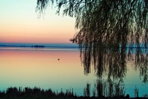 SDIM3301.jpg SDIM3301.jpg