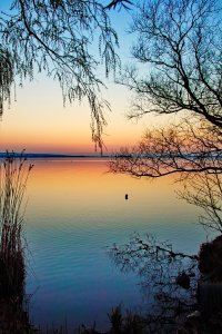 SDIM3304.jpg SDIM3304.jpg