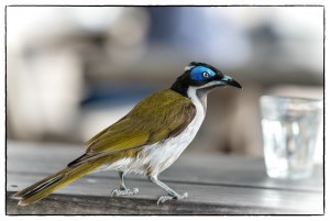 1500_7R203727-Bearbeitet-Bearbeitet.jpg 1500_7R203727-Bearbeitet-Bearbeitet.jpg