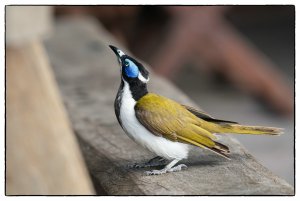 1500_7R203730-Bearbeitet.jpg 1500_7R203730-Bearbeitet.jpg