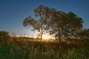 Sand morgens.jpg Sand morgens.jpg