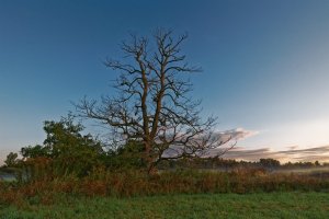 Sand morgens 4.jpg Sand morgens 4.jpg