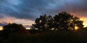 1V9A3638.jpg 1V9A3638.jpg