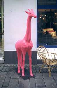 -Bild - 10.jpg -Bild - 10.jpg