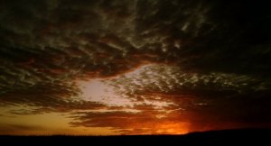 _20191013_075032.JPG _20191013_075032.JPG