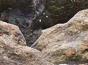 fehler-pano1.PNG fehler-pano1.PNG