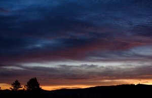 XP2D1352.jpg XP2D1352.jpg