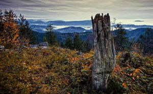 Schliffkopf 3_1x..jpg