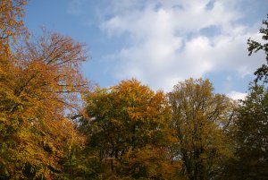 IMGP5322.jpg IMGP5322.jpg