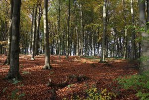 IMGP5324.jpg IMGP5324.jpg