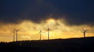 puster.JPG puster.JPG