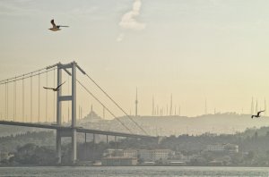 Compressed_0051.jpg Compressed_0051.jpg