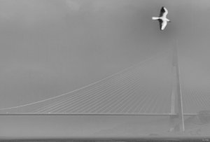 Compressed_0052.jpg Compressed_0052.jpg