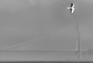 Compressed_0054.jpg Compressed_0054.jpg