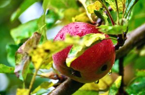 Bild 1.jpg Bild 1.jpg