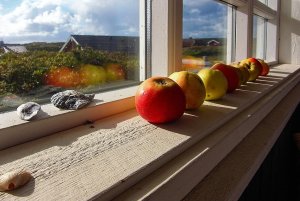 Bild 2.jpg Bild 2.jpg