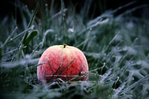 Bild 3.jpg Bild 3.jpg