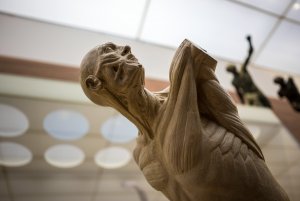 SON01601.jpg SON01601.jpg