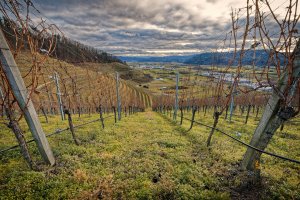 Ortenberg Kinzital.jpg