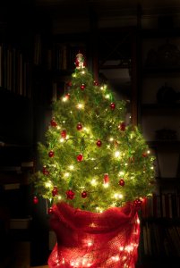 Das kleine Männlein.jpg