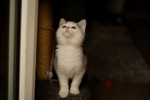 wenn ich groß bin...JPG