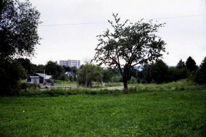 Electro 35 GS009.jpg