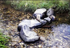 Electro 35 GS014.jpg