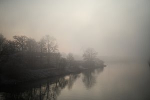 IMGP5902-ohne Rauschen.jpg