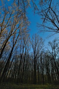 _SDI3893.jpg _SDI3893.jpg