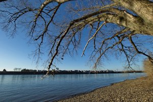 _SDI3901.jpg _SDI3901.jpg