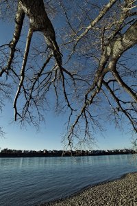 _SDI3903.jpg _SDI3903.jpg