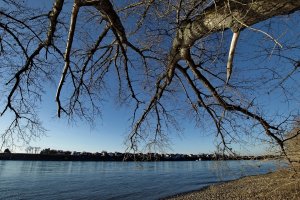 _SDI3906.jpg _SDI3906.jpg