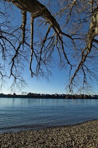 _SDI3907.jpg _SDI3907.jpg