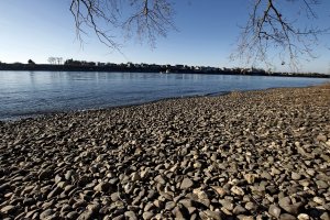 _SDI3908.jpg _SDI3908.jpg