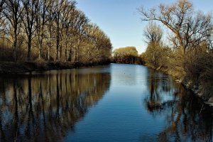 _SDI3920.jpg _SDI3920.jpg