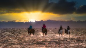 _MG_5205-Bearbeitet-1300 (2).jpg