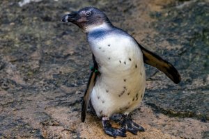 comp_DSC00893.jpg comp_DSC00893.jpg