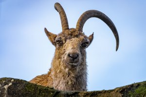 comp_DSC00908.jpg comp_DSC00908.jpg